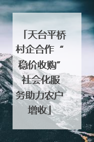 天台平桥村企合作“稳价收购” 社会化服务助力农户增收