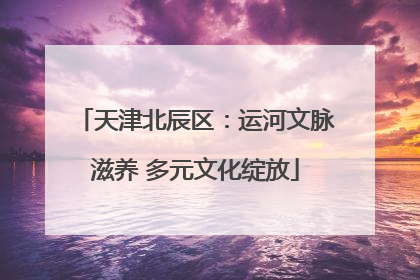 天津北辰区：运河文脉滋养 多元文化绽放