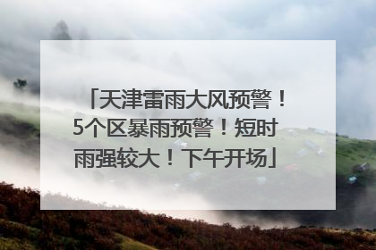 天津雷雨大风预警！5个区暴雨预警！短时雨强较大！下午开场