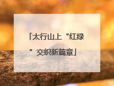 太行山上“红绿”交织新篇章