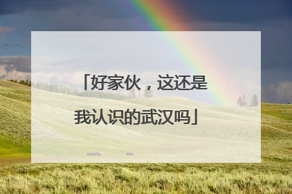 好家伙，这还是我认识的武汉吗