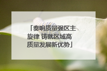 奏响质量强区主旋律 铸就区域高质量发展新优势