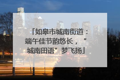 如皋市城南街道：端午佳节韵悠长，“城南田语”梦飞扬