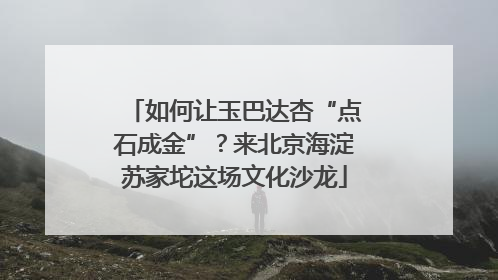 如何让玉巴达杏“点石成金”？来北京海淀苏家坨这场文化沙龙