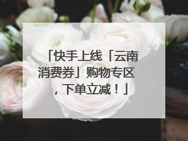 快手上线「云南消费券」购物专区，下单立减！