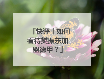 快评丨如何看待樊振东加盟德甲？