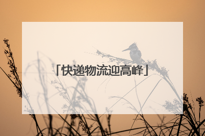 快递物流迎高峰
