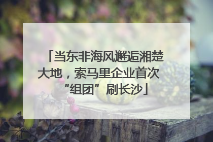 当东非海风邂逅湘楚大地，索马里企业首次“组团”刷长沙