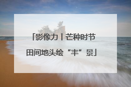 影像力丨芒种时节 田间地头绘“丰”景