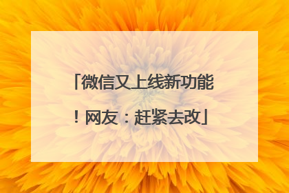 微信又上线新功能！网友：赶紧去改