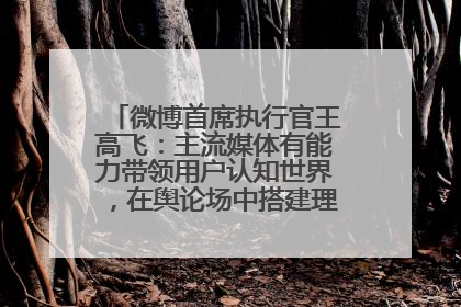 微博首席执行官王高飞：主流媒体有能力带领用户认知世界，在舆论场中搭建理性的讨论空间