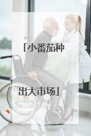 小番茄种出大市场