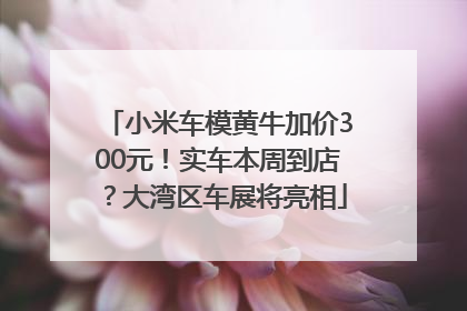 小米车模黄牛加价300元！实车本周到店？大湾区车展将亮相