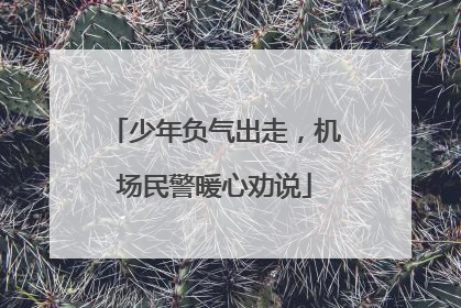 少年负气出走，机场民警暖心劝说