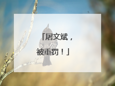 屠文斌，被重罚！