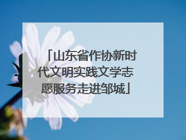 山东省作协新时代文明实践文学志愿服务走进邹城