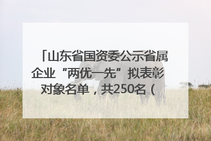 山东省国资委公示省属企业“两优一先”拟表彰对象名单，共250名（个）党员和党组织