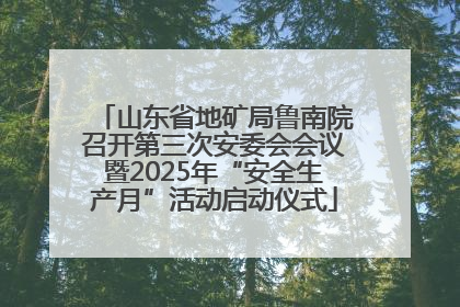 山东省地矿局鲁南院召开第三次安委会会议暨2025年“安全生产月”活动启动仪式