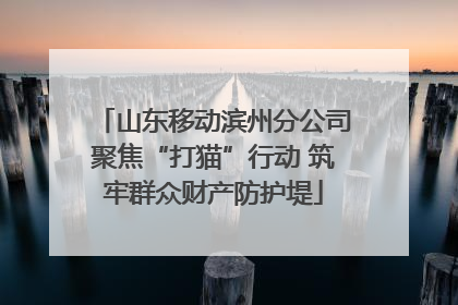 山东移动滨州分公司聚焦“打猫”行动 筑牢群众财产防护堤