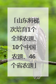 山东将梯次培育1个全球农遗、10个中国农遗、46个省农遗