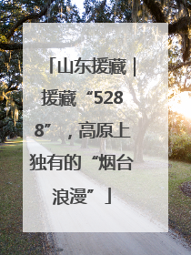 山东援藏｜援藏“5288”，高原上独有的“烟台浪漫”