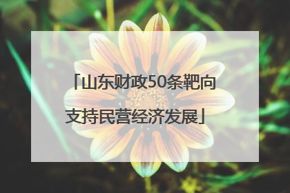 山东财政50条靶向支持民营经济发展