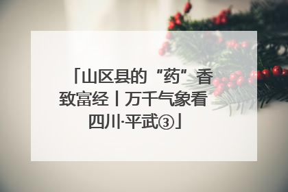 山区县的“药”香致富经丨万千气象看四川·平武③