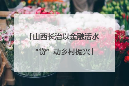 山西长治以金融活水“贷”动乡村振兴