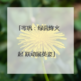 岑巩：绿茵烽火起 跃动展英姿