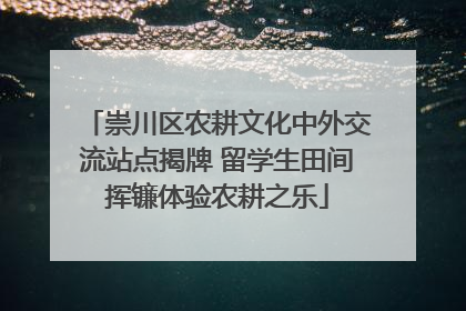 崇川区农耕文化中外交流站点揭牌 留学生田间挥镰体验农耕之乐