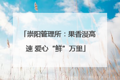 崇阳管理所：果香漫高速 爱心“鲜”万里