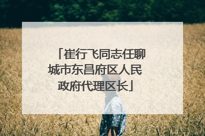 崔行飞同志任聊城市东昌府区人民政府代理区长