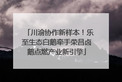 川渝协作新样本！乐至生态白鹅牵手荣昌卤鹅点燃产业新引擎
