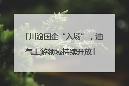 川渝国企“入场”，油气上游领域持续开放