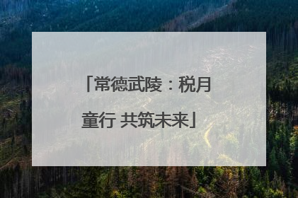 常德武陵：税月童行 共筑未来