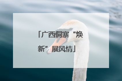广西侗寨“焕新”展风情