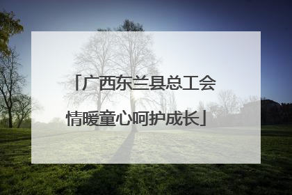 广西东兰县总工会情暖童心呵护成长