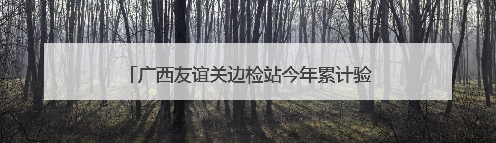 广西友谊关边检站今年累计验放出入境人员超150万人次