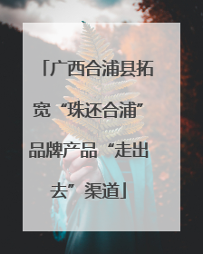 广西合浦县拓宽“珠还合浦”品牌产品“走出去”渠道