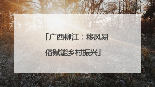 广西柳江：移风易俗赋能乡村振兴