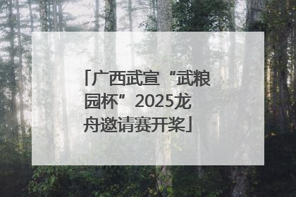 广西武宣“武粮园杯”2025龙舟邀请赛开桨