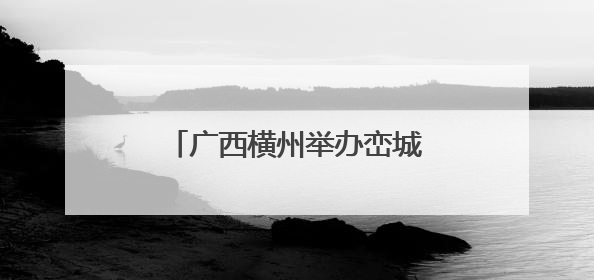 广西横州举办峦城鱼生美食文化节 推动产业标准化发展