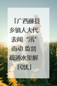 广西藤县乡镇人大代表闻“汛”而动 监督疏通水渠解民忧