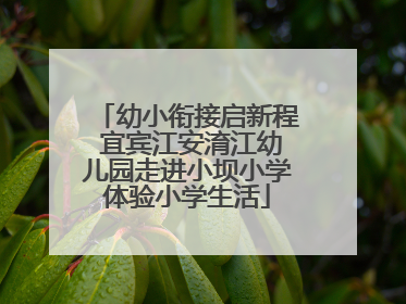 幼小衔接启新程 宜宾江安淯江幼儿园走进小坝小学体验小学生活