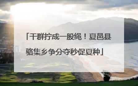 干群拧成一股绳！夏邑县骆集乡争分夺秒促夏种