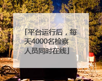 平台运行后，每天4000名检察人员同时在线