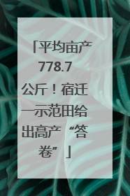平均亩产778.7公斤！宿迁一示范田给出高产“答卷”