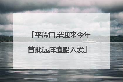 平潭口岸迎来今年首批远洋渔船入境