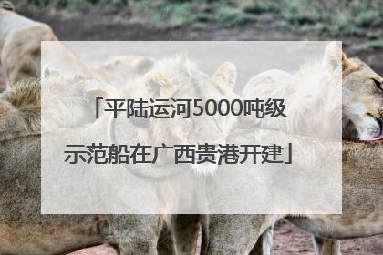 平陆运河5000吨级示范船在广西贵港开建