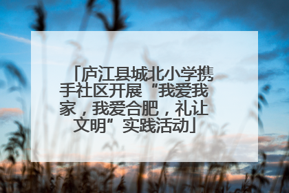 庐江县城北小学携手社区开展“我爱我家，我爱合肥，礼让文明”实践活动